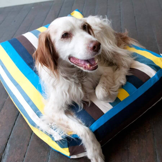 City Stripe Woof Pet Bed Small