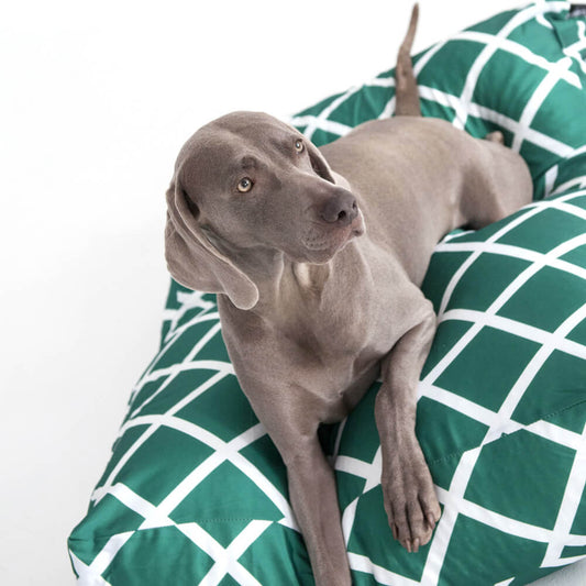 Green Diamonds Woof Pet Bed Small
