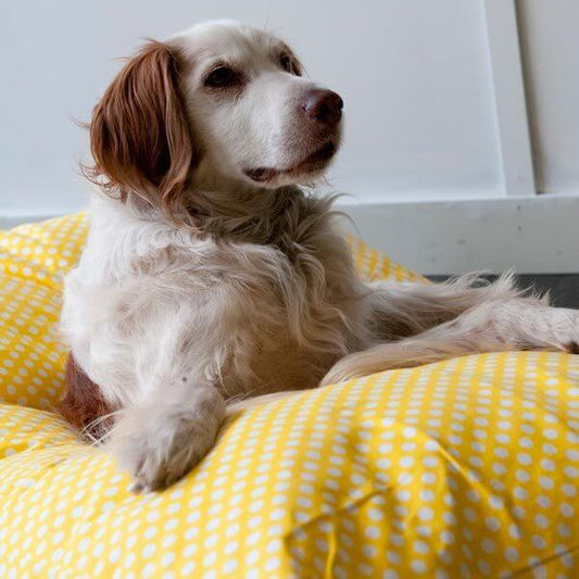 Yellow Spots Woof Pet Bed Large