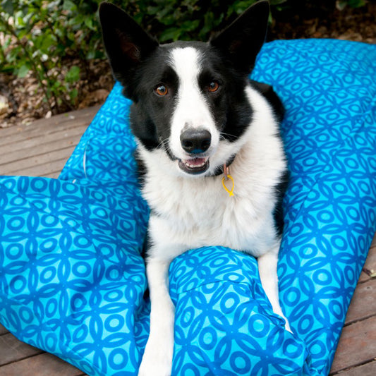 Blue Circles Woof Pet Bed Large